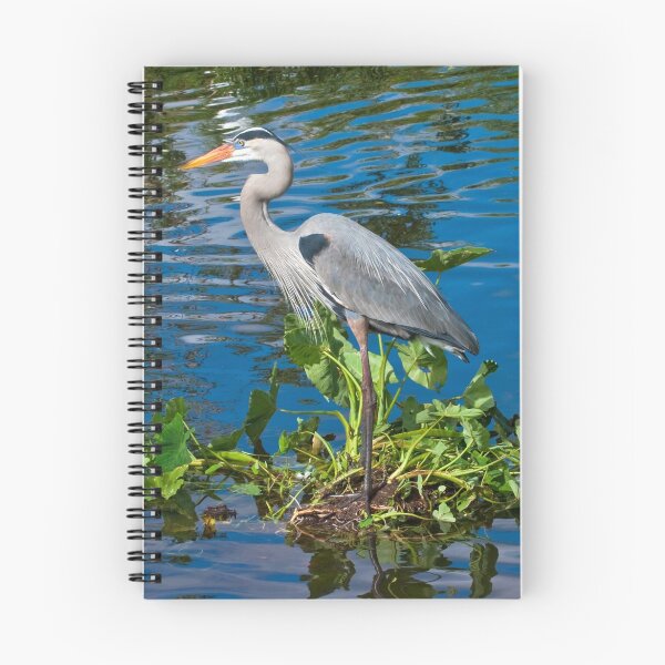 Item preview, Great Blue Heron at Lake Harris designed and sold by Delores Knowles.