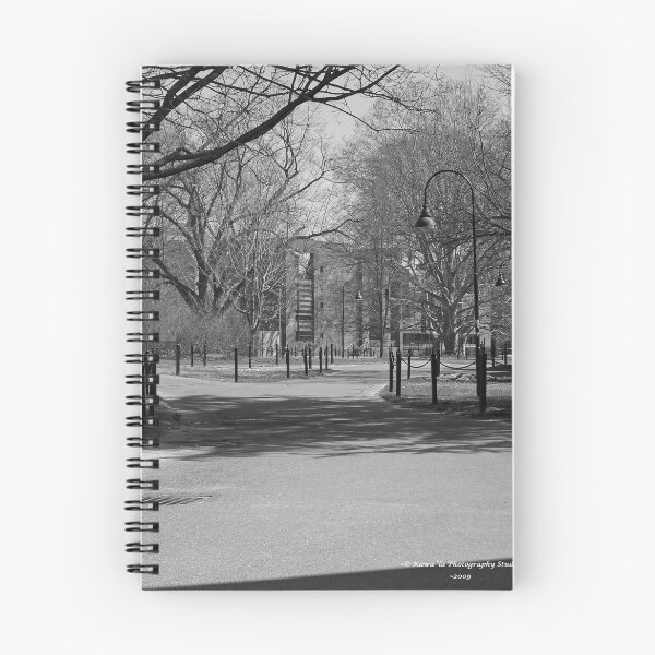 Item preview, Walk Paths B&W (Series) designed and sold by Dennis  Stanton.
