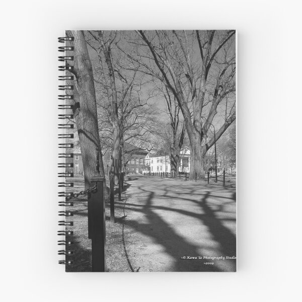 Item preview, Walk Paths B&W (series) designed and sold by Dennis  Stanton.