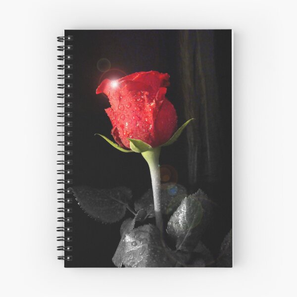 Item preview, Red Rose 1 designed and sold by Eugenio.