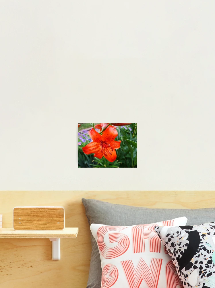Thumbnail 2 of 3, Photographic Print, designed and sold by Ravred.