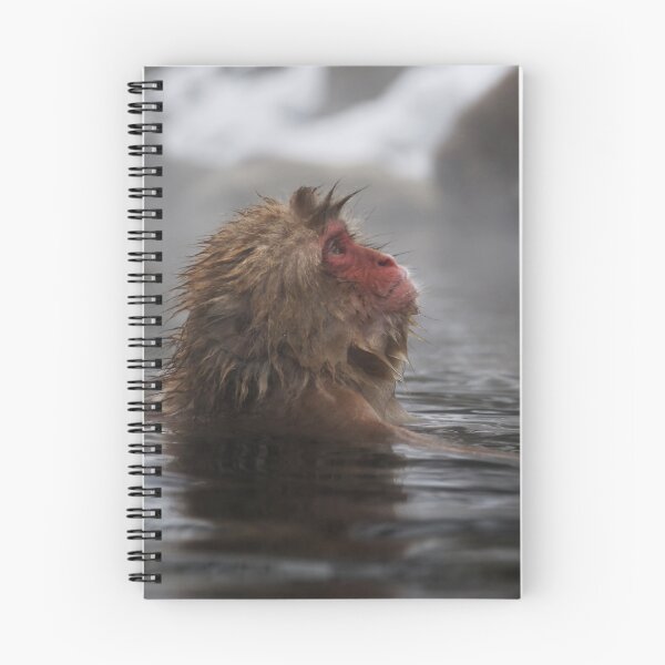 Item preview, Contemplation designed and sold by Robert Mullner.