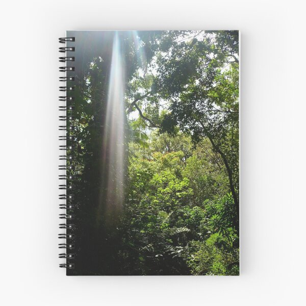 Item preview, sunbeam through canopy designed and sold by MattyLynch808.