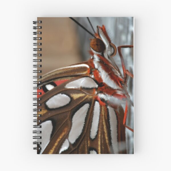 Item preview, Mariposa designed and sold by Noha.