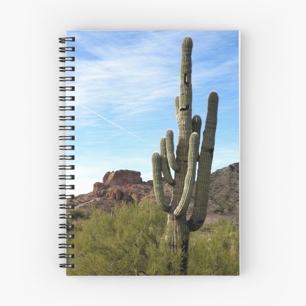 Item preview, Old Saguaro designed and sold by tcphoto.