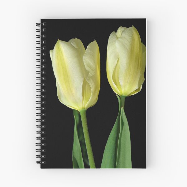 Item preview, Tulip twins designed and sold by VickiOBrien.
