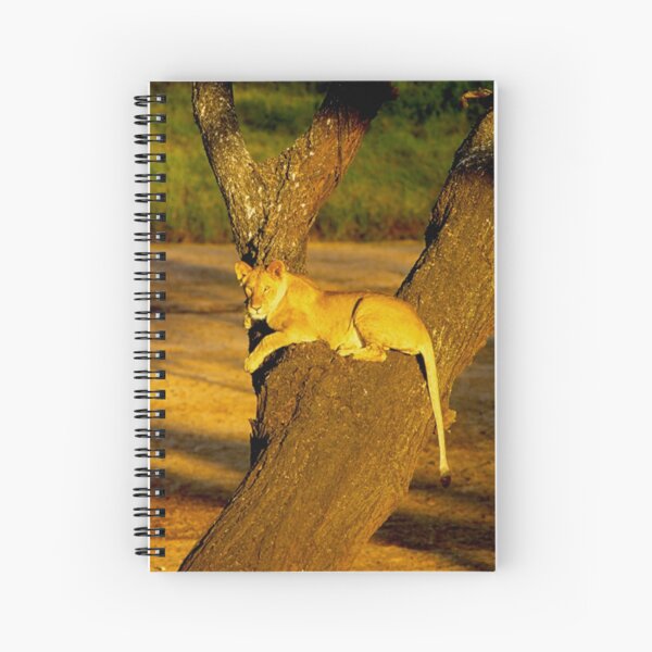 Tree-Climbing Lioness Spiral Notebook