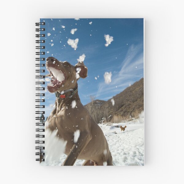 Item preview, Fun in the Snow designed and sold by Marc McDonald.