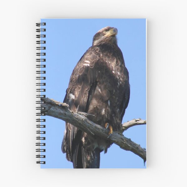 Item preview, Odyssey Eagle designed and sold by tkrosevear.