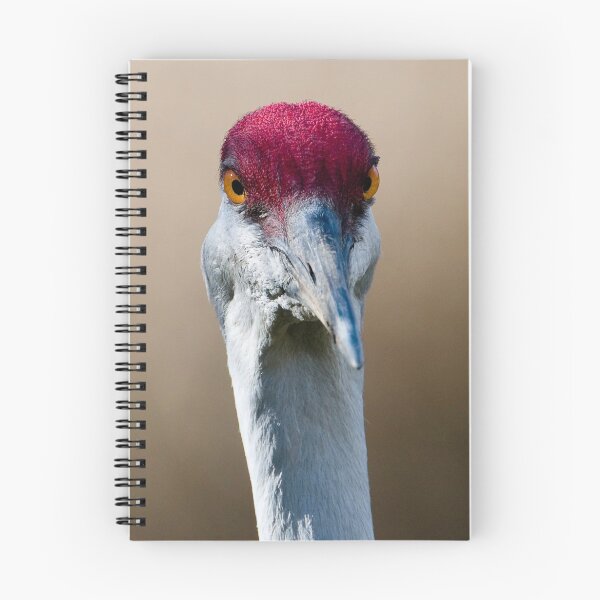 Item preview, Sandhill Crane Up Close designed and sold by David Friederich.