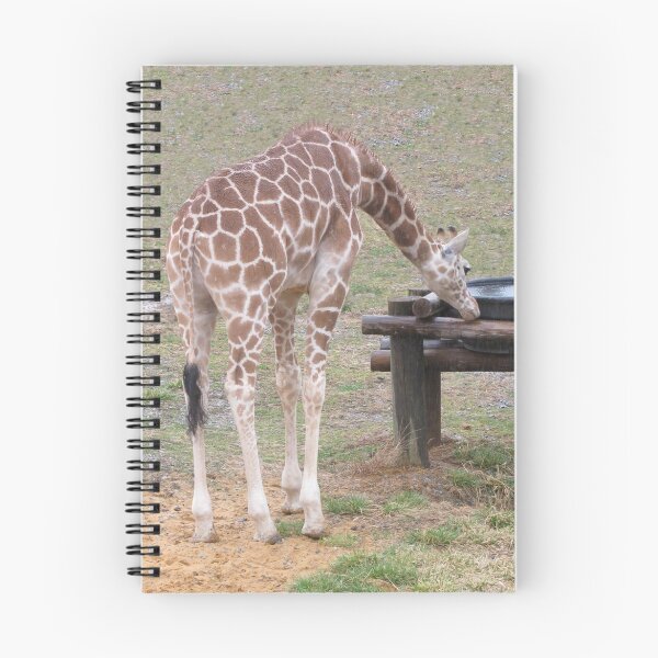 Item preview, Easy Access designed and sold by Ginny York.