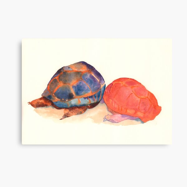 A couple of turtles Canvas Print