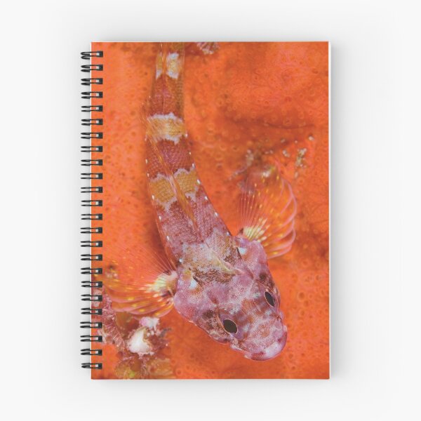 Item preview, Clash of colour designed and sold by Stephen Colquitt.