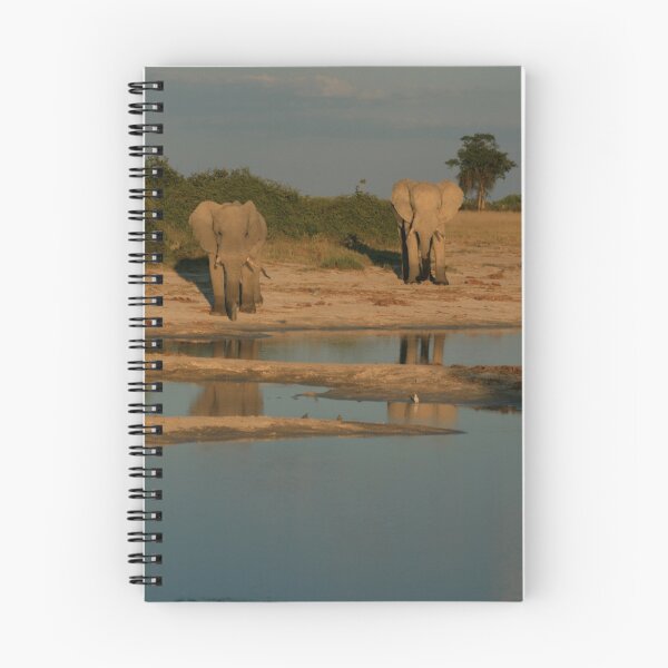 Item preview, Reflections of Botswana designed and sold by Cal Williams.
