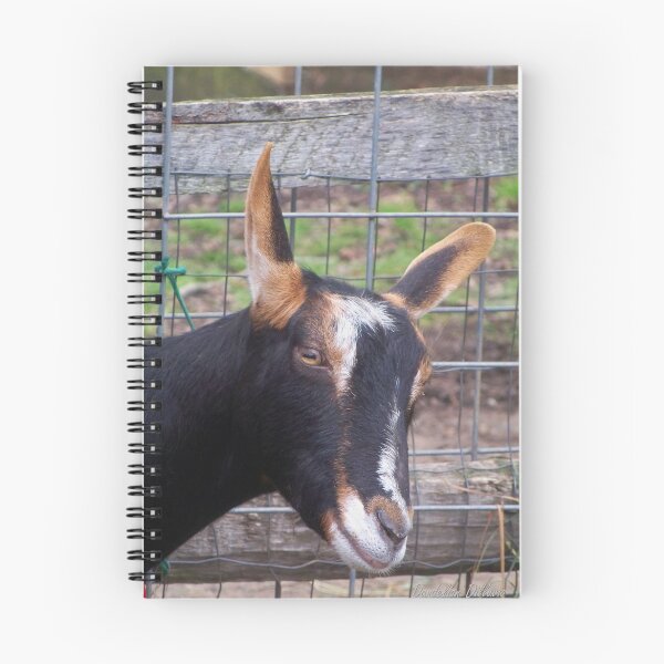 Item preview, Goat designed and sold by Dandelion Dilluvio.