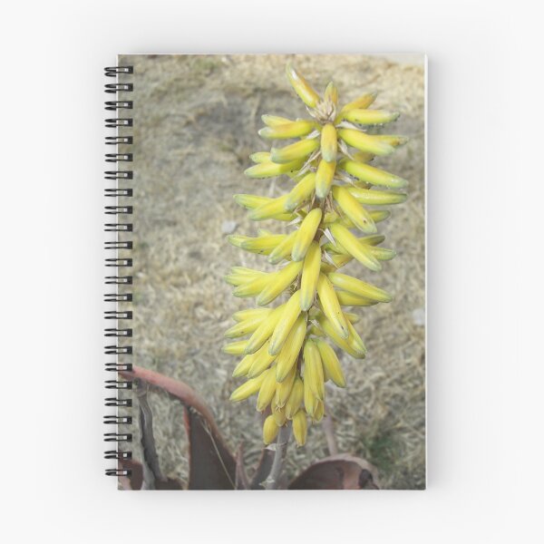 Item preview, Aloe Flower Stalk designed and sold by TravelPhotoArt.