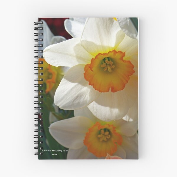 Item preview, Shdowing Daffodils designed and sold by Dennis  Stanton.