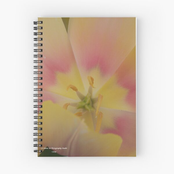 Item preview, Subtle Colors designed and sold by Dennis  Stanton.