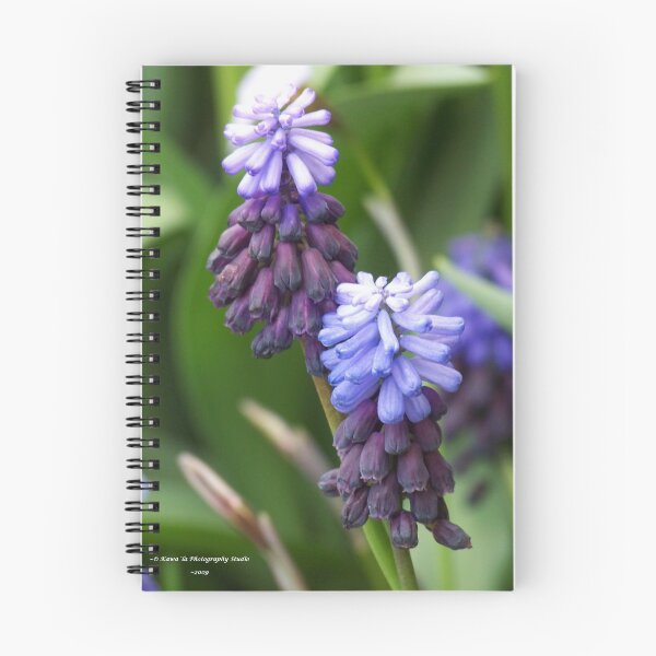 Item preview, Purple Bells designed and sold by Dennis  Stanton.