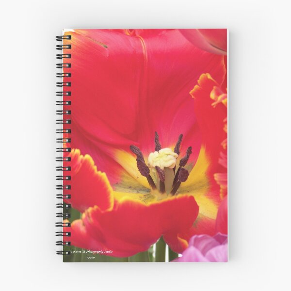 Item preview, Centered designed and sold by Dennis  Stanton.
