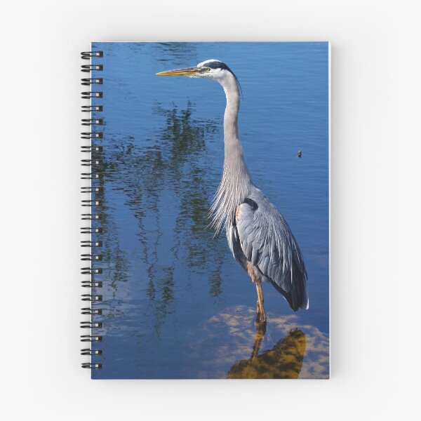 Item preview, Great Blue Heron - The Whole Bird designed and sold by Stephen Beattie.