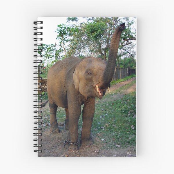 Item preview, Baby Elephant designed and sold by Darius4522.