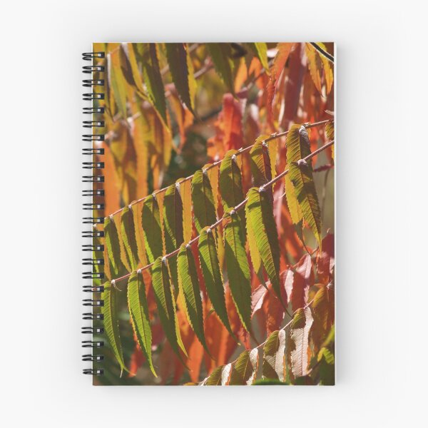 Item preview, Sumac Back-lit in Pennsylvania Fall designed and sold by Anna Lisa Yoder.