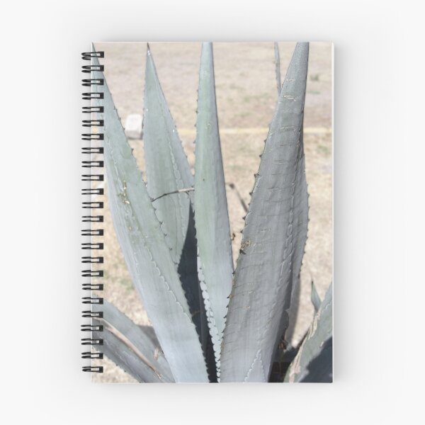 Artikelvorschau, Blue Agave Americana or Maguey entworfen und verkauft von TravelPhotoArt.