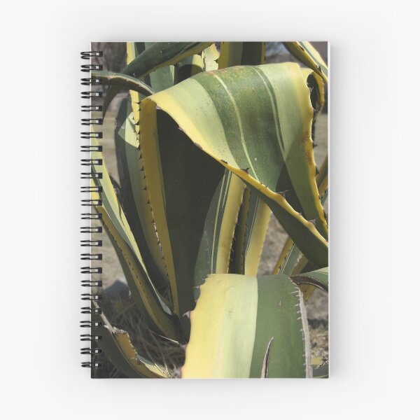 Item preview, Agave Americana - Maguey designed and sold by TravelPhotoArt.