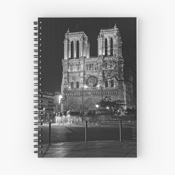 Item preview, Notre Dame designed and sold by MNDustyLens.