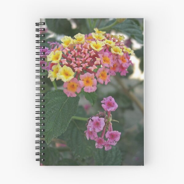 Item preview, Lantana 2 designed and sold by TravelPhotoArt.