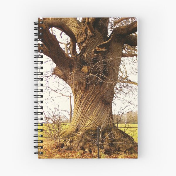 Item preview, ONE OF MY FAVOURITE TREES designed and sold by ANNETTE HAGGER.