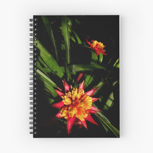 Item preview, One Plus designed and sold by Rosalie Scanlon.