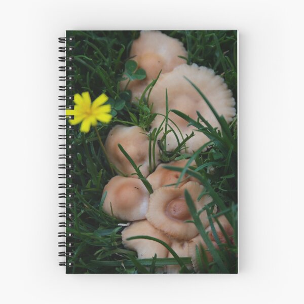 Item preview, Backyard Fungi designed and sold by Ahscotty.