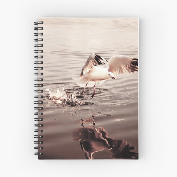 Item preview, seagull designed and sold by MickDodds.