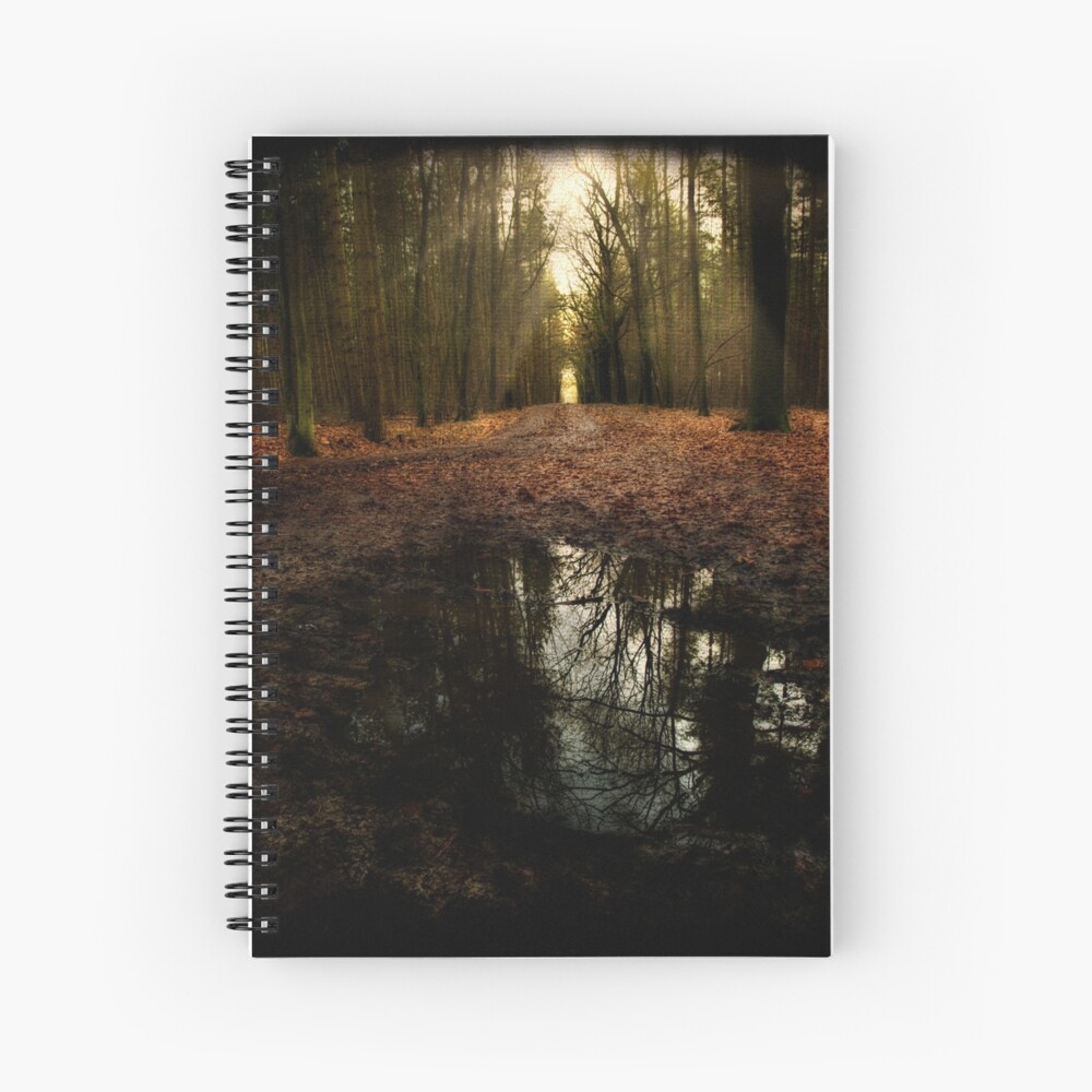 go on Spiral Notebook