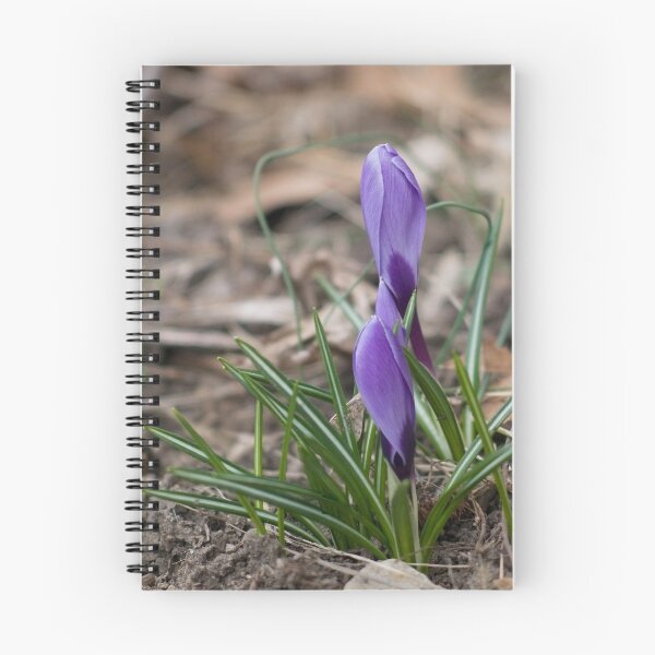 Item preview, the most beautiful flower of spring is the first designed and sold by jude walton.
