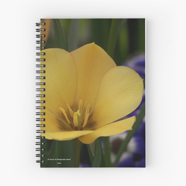 Item preview, Deep Yellow designed and sold by Dennis  Stanton.