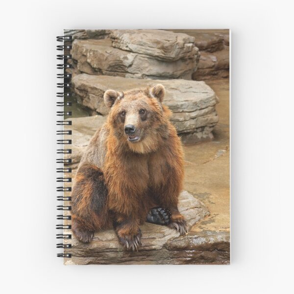 Item preview, When's dinner? designed and sold by Sue  Cullumber.