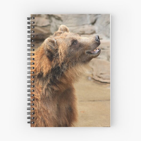 Item preview, Beautiful Bear designed and sold by Sue  Cullumber.