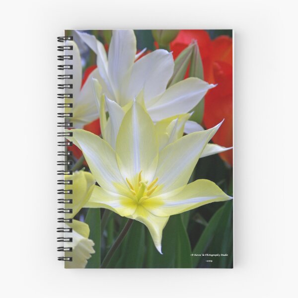 Item preview, White & Yellow Tulips designed and sold by Dennis  Stanton.