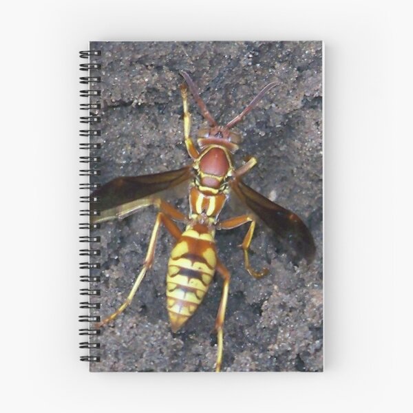 Item preview, yellow  jacket wasp designed and sold by gabbielizzie.