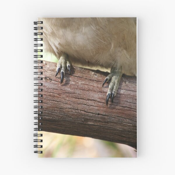 Item preview, Kookaburra Feet designed and sold by Martin How.