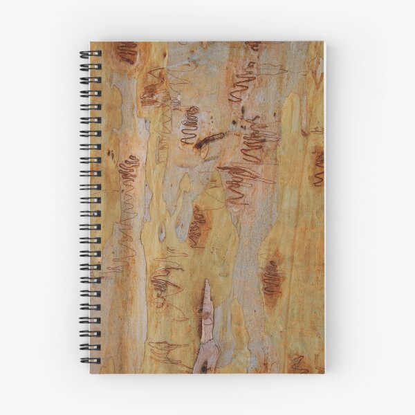 Item preview, Scribbly Gum 4 designed and sold by Martin How.