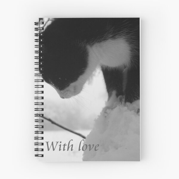 Aperçu de l'œuvre Kitten love créée et vendue par AbsintheFairy.