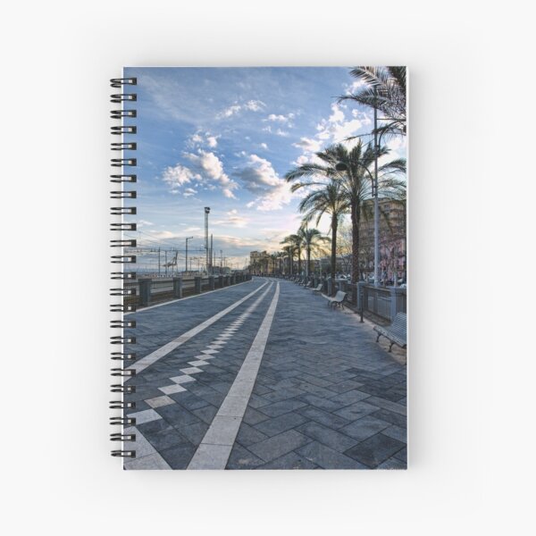 Il passiatore, Catania Spiral Notebook