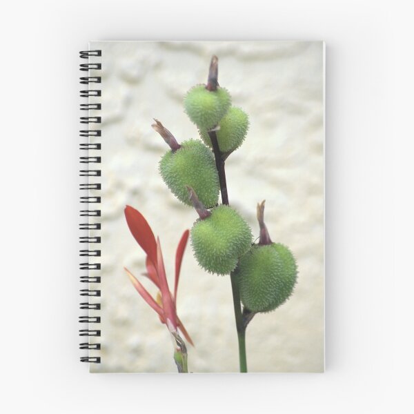 Item preview, Canna Pods designed and sold by Donna Wilkins.