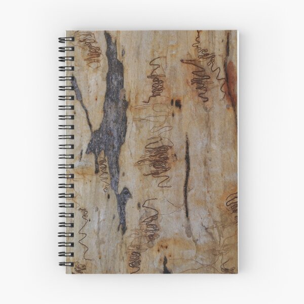 Aperçu de l'œuvre Scribbly Gum 6 créée et vendue par Martin How.