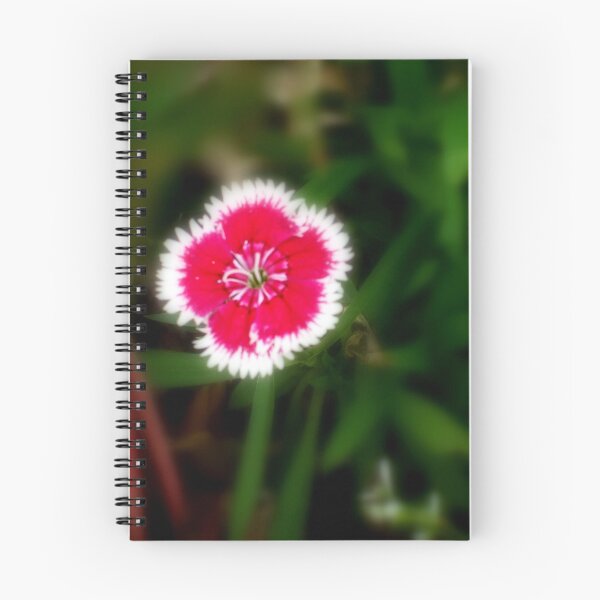 Item preview, DIANTHUS PICOTE EDGE designed and sold by artist4peace.