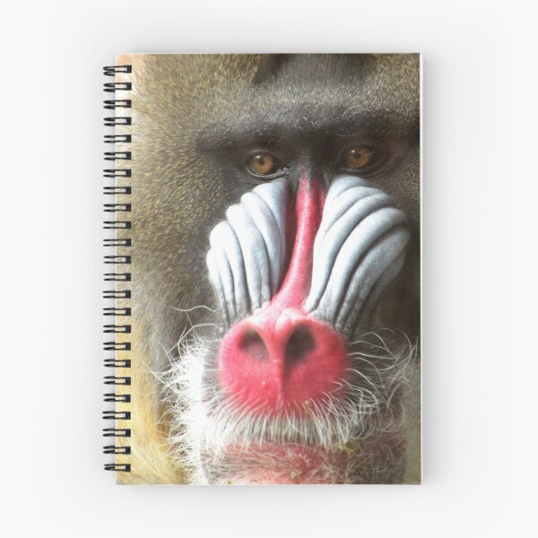Item preview, Mandrill designed and sold by starbucksgirl26.